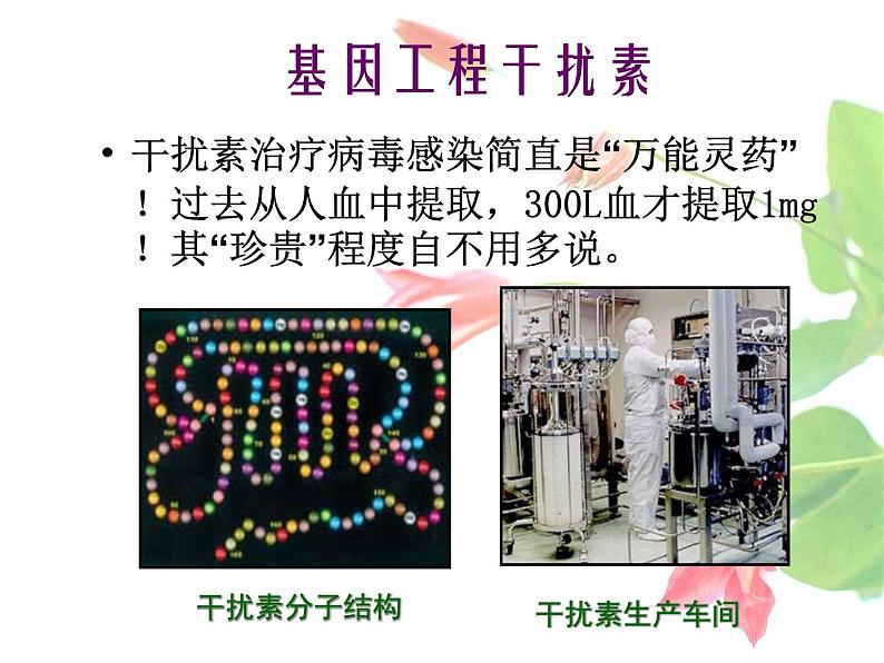 苏教版八年级下册生物 24.2关注生物技术 课件第5页