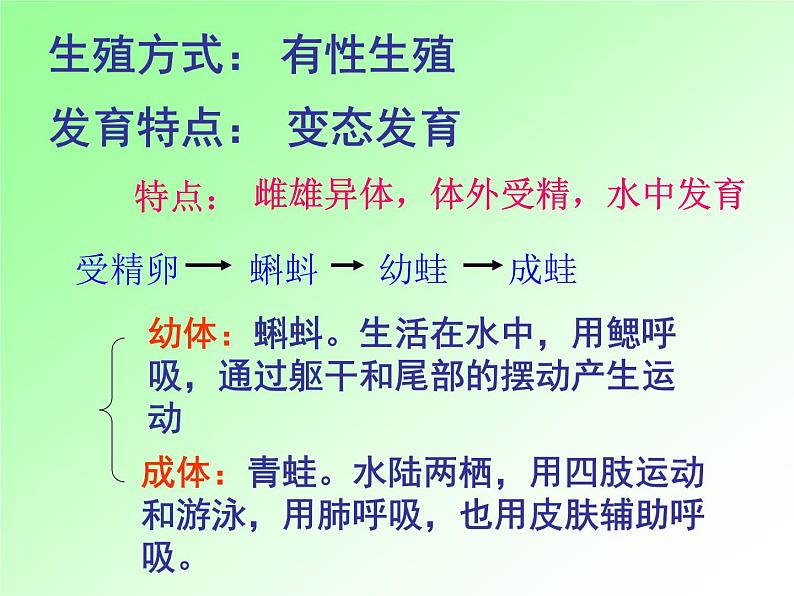 苏教版八年级下册生物 21.4两栖类的生殖与发育 课件第8页