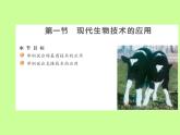 蘇教版八年級(jí)下冊(cè)生物 24.1現(xiàn)代生物技術(shù)的應(yīng)用 課件