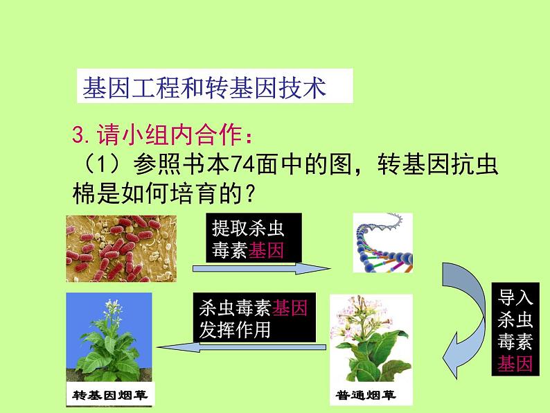 苏教版八年级下册生物 24.1现代生物技术的应用 课件07