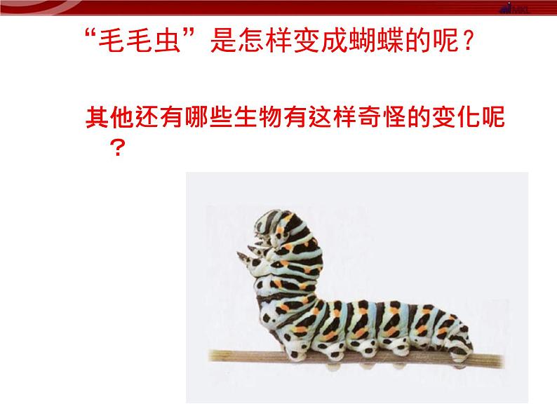 苏教版八年级下册生物 21.3昆虫的生殖与发育 课件05