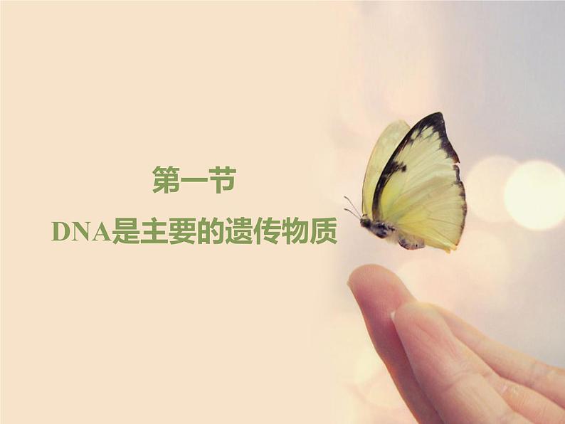 苏教版八年级下册生物 22.1DNA是主要的遗传物质 课件01