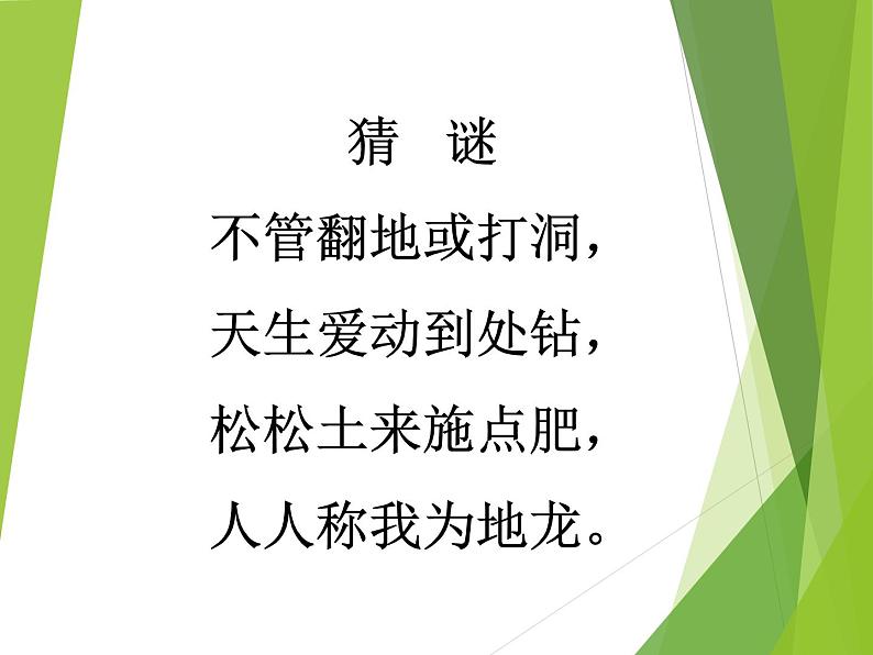 苏科版七年级下册生物 13.1土壤里的小动物  课件第1页