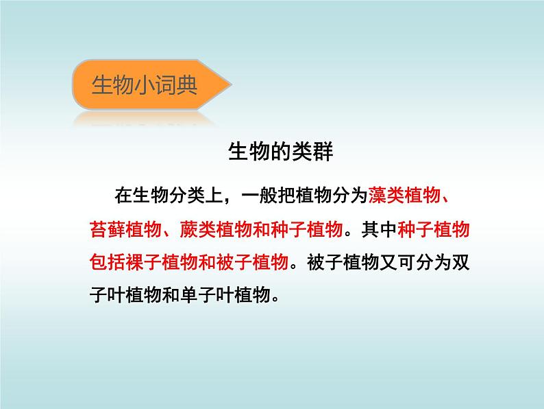 苏科版七年级下册生物 14.2生物检索表 课件第7页