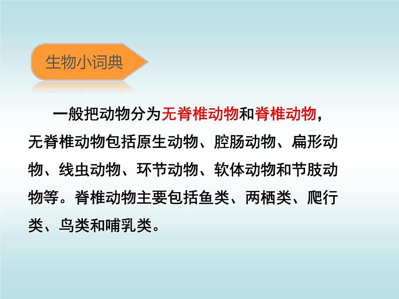 苏科版七年级下册生物 14.2生物检索表 课件第8页