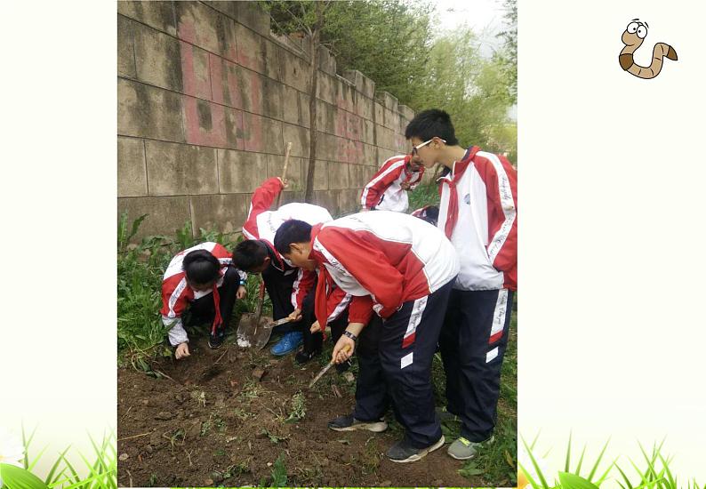 苏科版七年级下册生物 13.1土壤里的小动物 课件02