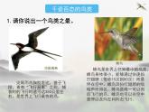 苏科版七年级下册生物 12.1鸟类 课件