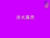 苏科版七年级下册生物 10.2水中的藻类植物 课件