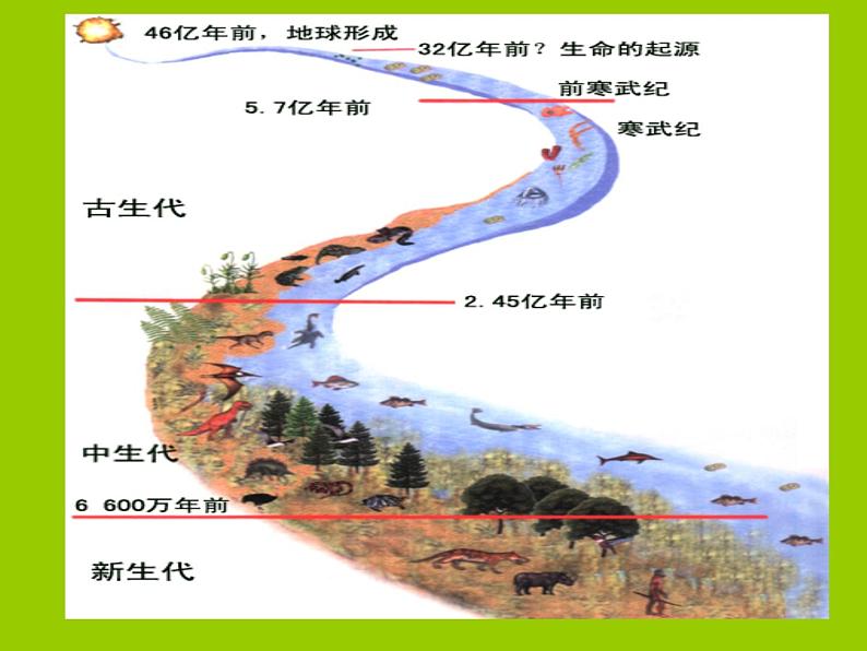 苏科版八年级下册生物 23.2生物进化的历程 课件03