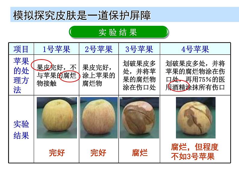 苏科版八年级下册生物 24.1人体的免疫防线 课件04