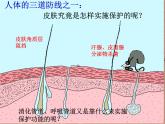 苏科版八年级下册生物 24.1人体的免疫防线 课件