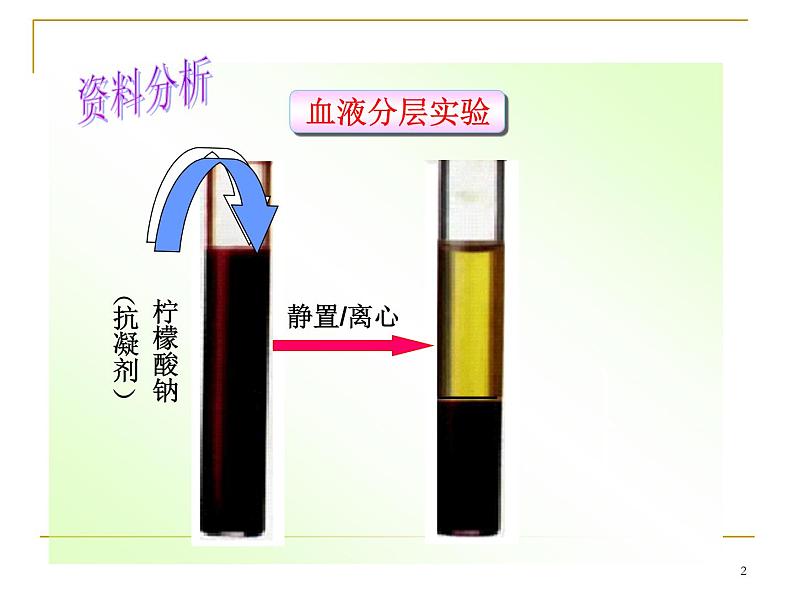 人教版七下生物 4.1流动的组织 血液  课件第2页