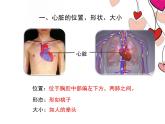 人教版七下生物 4.3输送血液的泵 心脏  课件