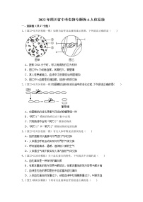 2022年四川省中考生物二轮专题练4-人体系统