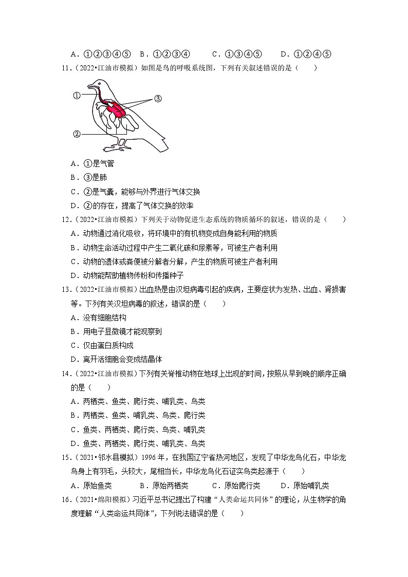 2022年四川省中考生物二轮专题练7-生物多样性、生物的进化第3页