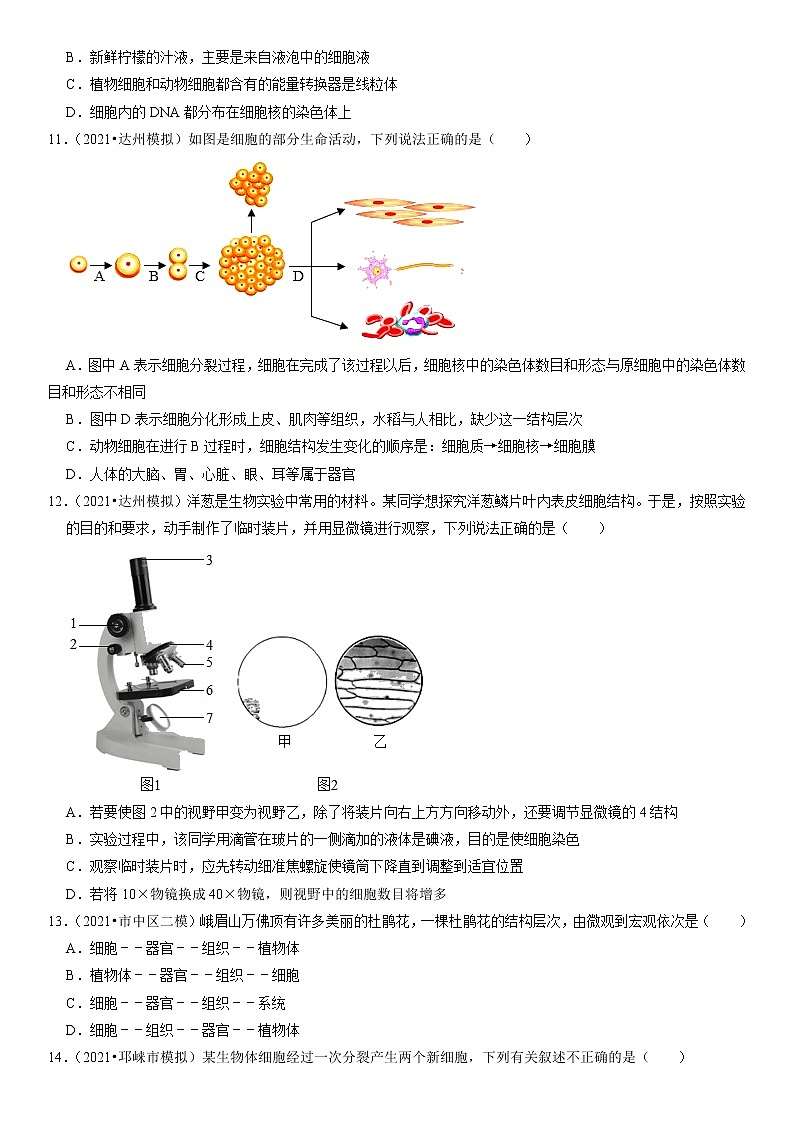 2022年四川省中考生物二轮专题练1-生命体的结构层次第3页
