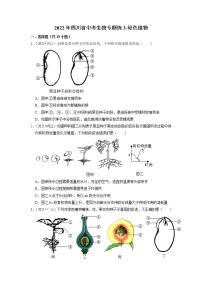 2022年四川省中考生物二轮专题练3-绿色植物