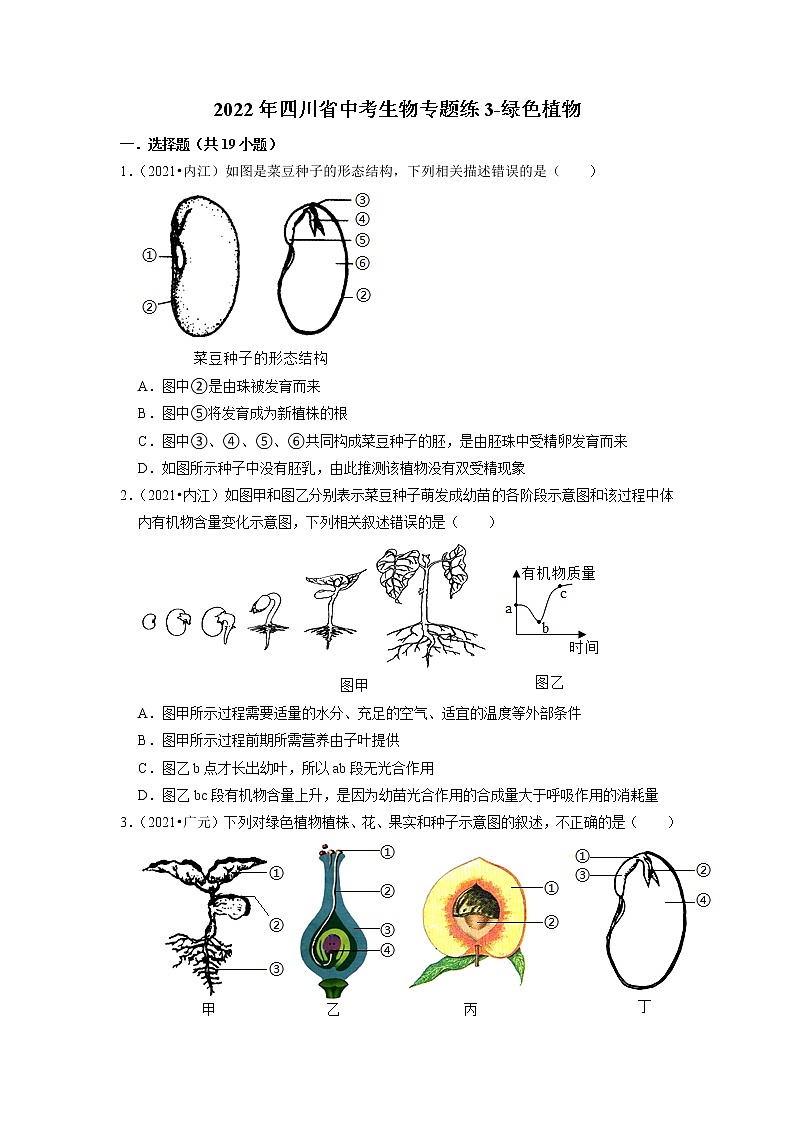 2022年四川省中考生物二轮专题练3-绿色植物01