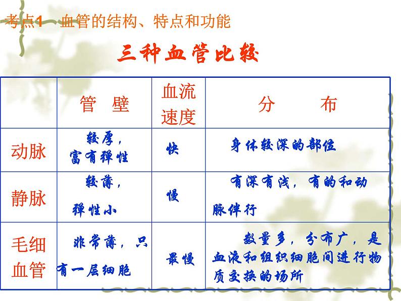 苏教版七年级下册生物 10.2人体内的血液循环 课件第4页