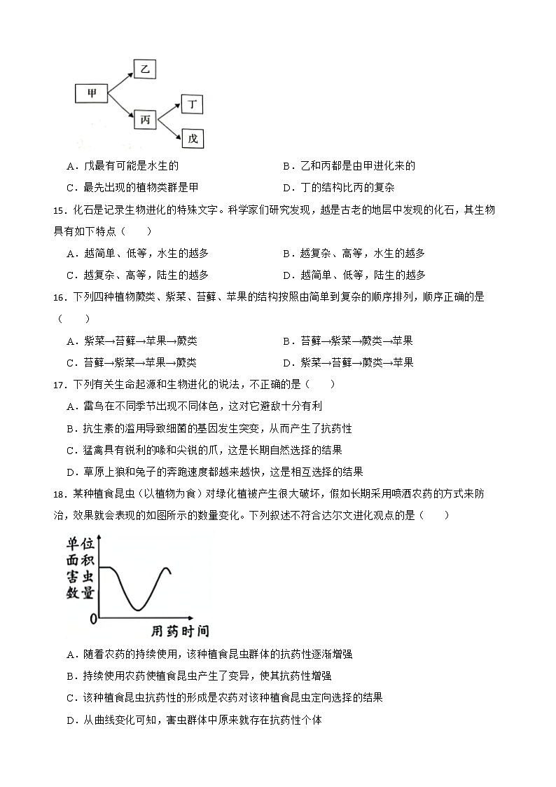 初生北师大版八年级下册21.2生物的进化 同步练习03