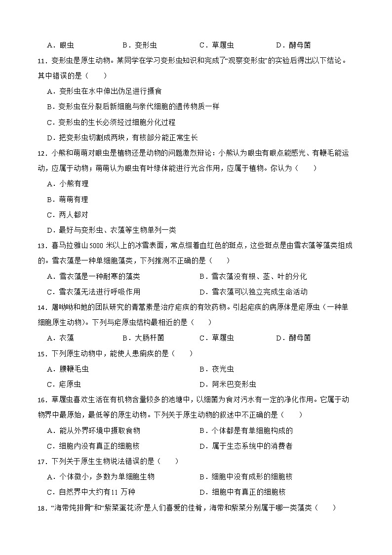 初生北师大版八年级下册22.2原生生物的主要类群 同步练习02