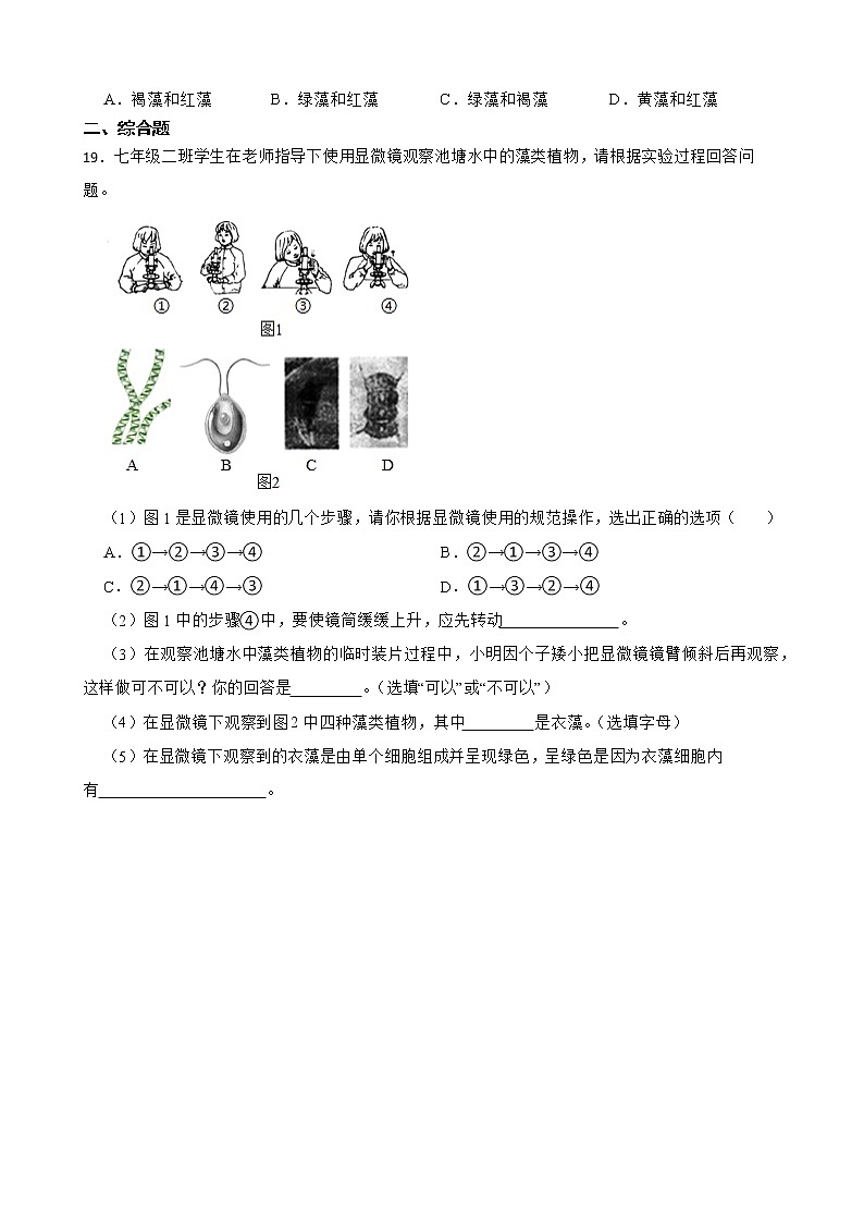 初生北师大版八年级下册22.2原生生物的主要类群 同步练习03
