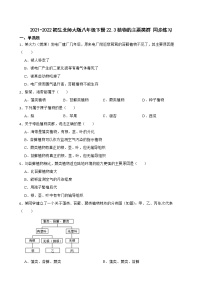 2020-2021学年第七单元 生命的演化第22章  物种的多样性第3节  植物的主要类群精品课时练习