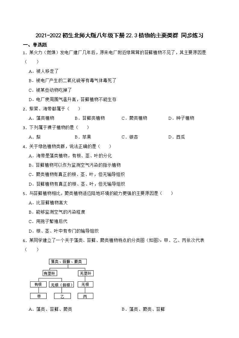 初生北师大版八年级下册22.3植物的主要类群 同步练习01