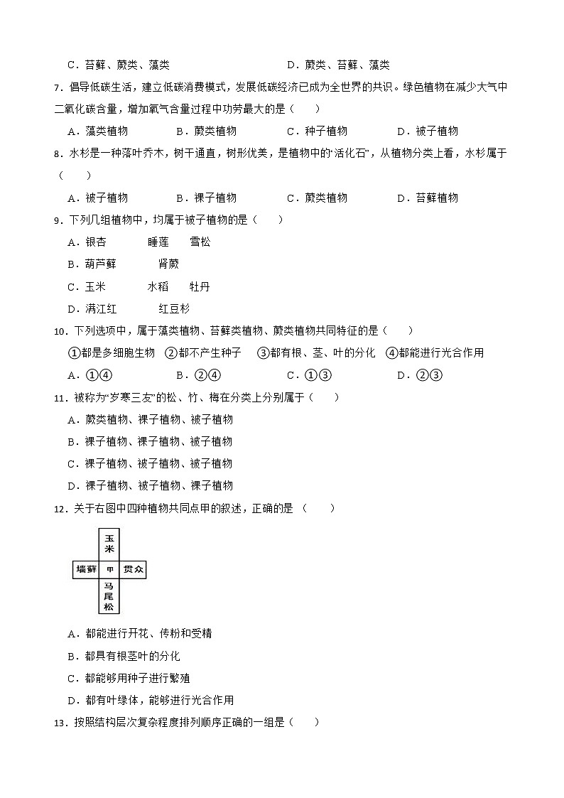 初生北师大版八年级下册22.3植物的主要类群 同步练习02