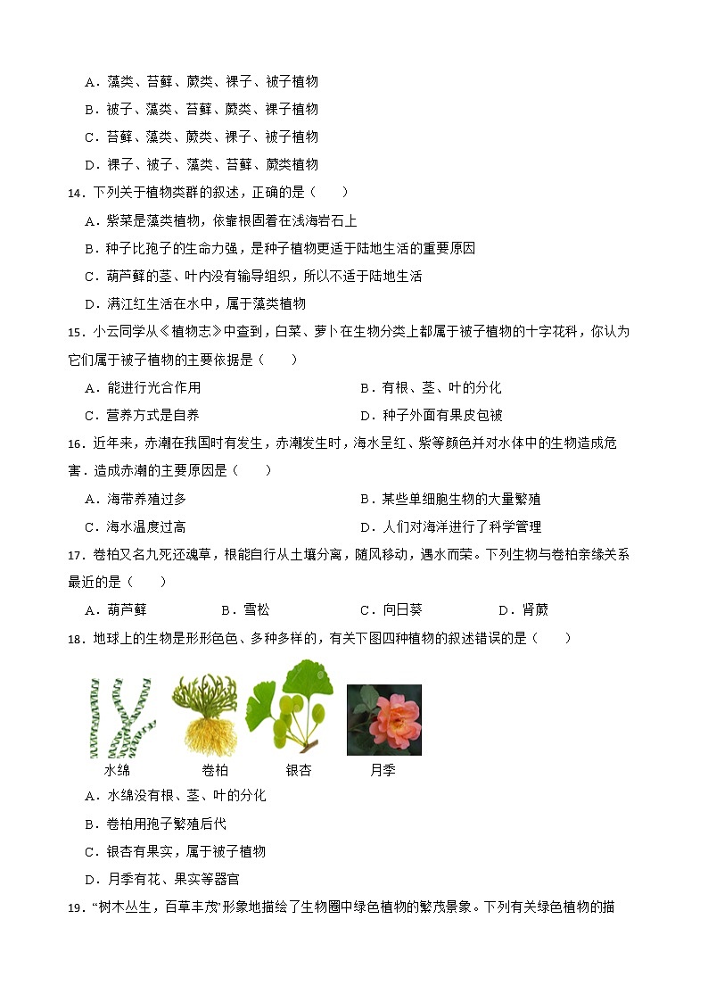 初生北师大版八年级下册22.3植物的主要类群 同步练习03