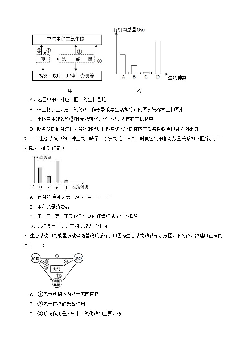 初生北师大版八年级下册23.3生态系统的结构和功能 同步练习第2页