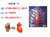 4.4.3输送血液的泵——心脏课件PPT