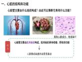 4.4.3输送血液的泵——心脏课件PPT