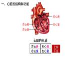 4.4.3输送血液的泵——心脏课件PPT