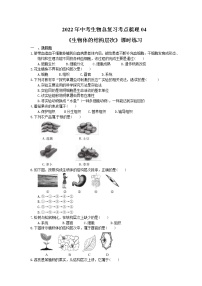 2022年中考生物总复习考点梳理04《生物体的结构层次》课时练习（含答案）