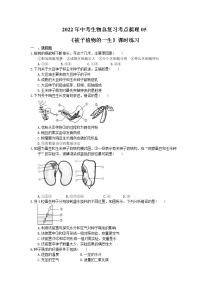 2022年中考生物总复习考点梳理05《被子植物的一生》课时练习（含答案）