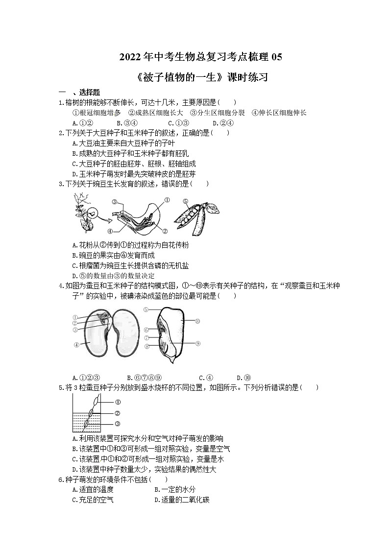 2022年中考生物总复习考点梳理05《被子植物的一生》课时练习（含答案）第1页