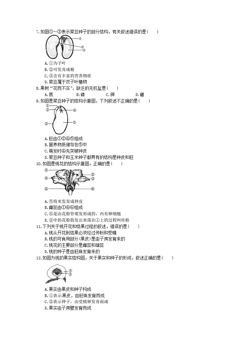 2022年中考生物总复习考点梳理05《被子植物的一生》课时练习（含答案）第2页