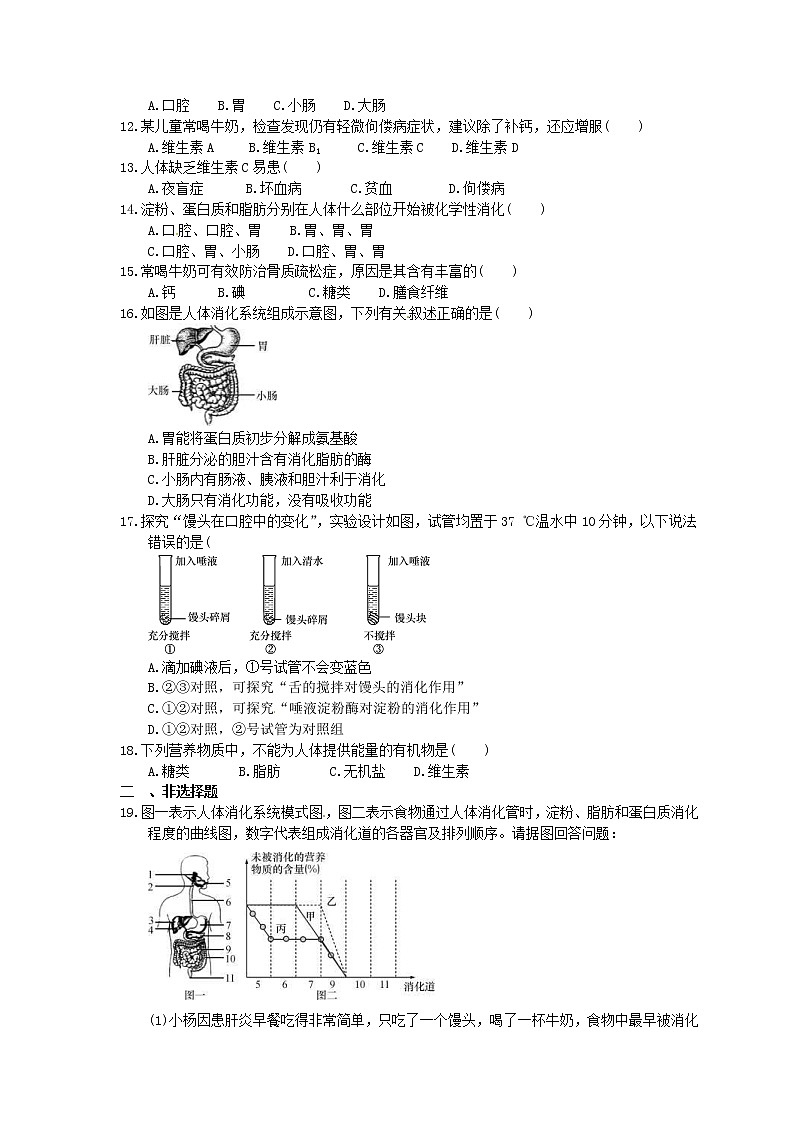 2022年中考生物总复习考点梳理08《人体的营养》课时练习（含答案）第2页
