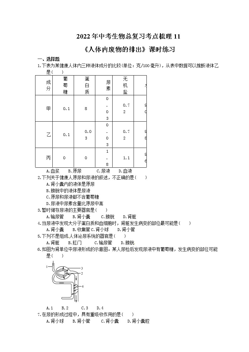 2022年中考生物总复习考点梳理11《人体内废物的排出》课时练习（含答案）第1页