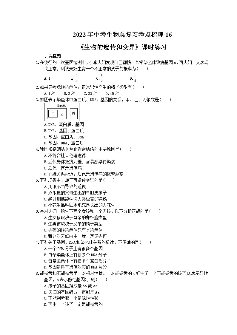 2022年中考生物总复习考点梳理16《生物的遗传和变异》课时练习（含答案）01