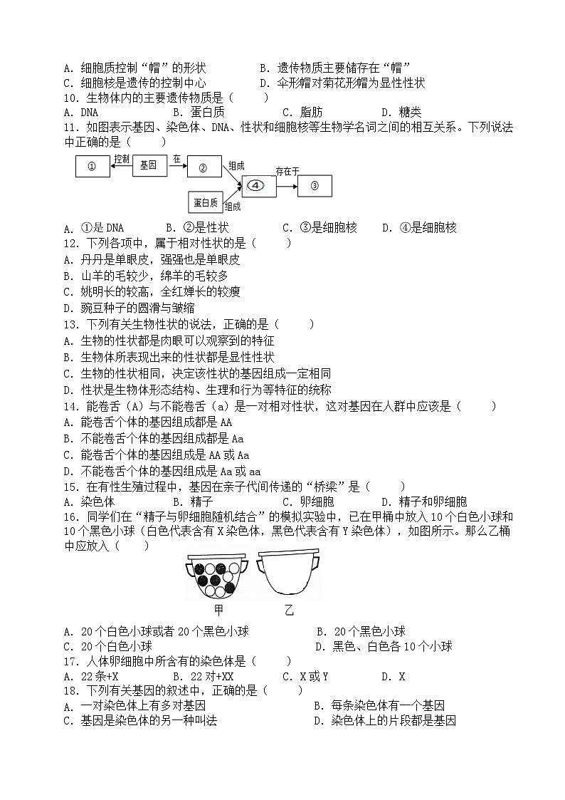 安徽省合肥市包河区2021-2022学年八年级下学期期中考试生物试题（含答案）第2页