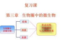 2022年济南版中考生物专题复习课件---生物圈中的微生物