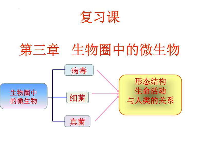 2022年济南版中考生物专题复习课件---生物圈中的微生物01