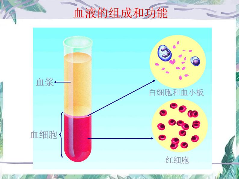 生物专项复习 第10章人体内的物质运输和能量供给复习优质课件第3页