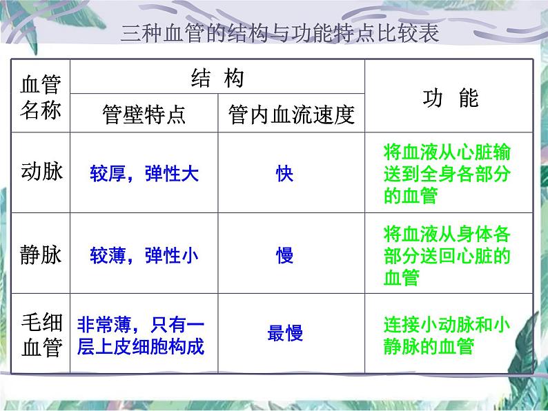 生物专项复习 第10章人体内的物质运输和能量供给复习优质课件第7页