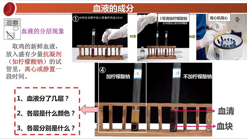 2022人教版生物七下第四章第一节流动的组织——血液课件PPT第5页