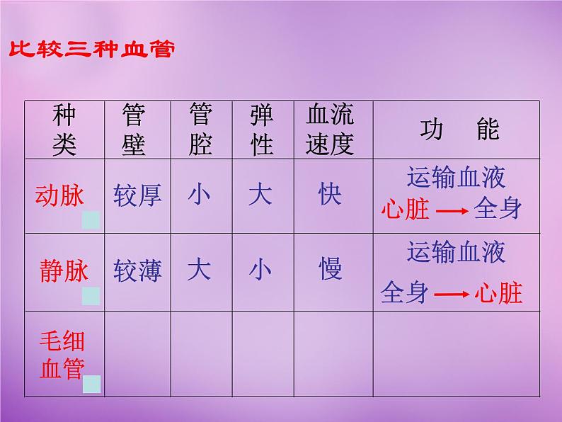 苏教版七年级下册生物 10.2人体的血液循环 课件07