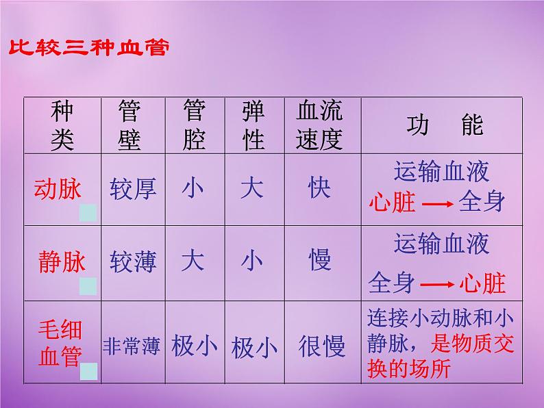 苏教版七年级下册生物 10.2人体的血液循环 课件08