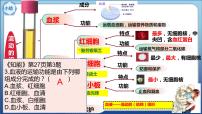 生物七年级下册第四单元 生物圈中的人第四章 人体内物质的运输第二节 血流的管道──血管集体备课课件ppt